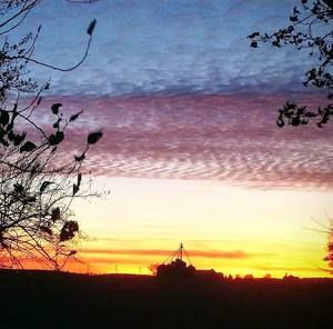 Meet your Posher, Toni